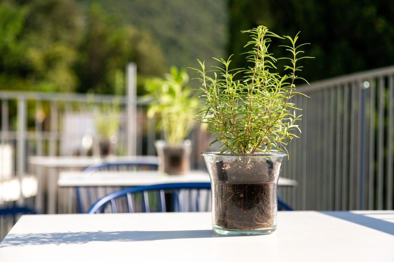 Vistalago Torbole Torbole Sul Garda Kültér fotó